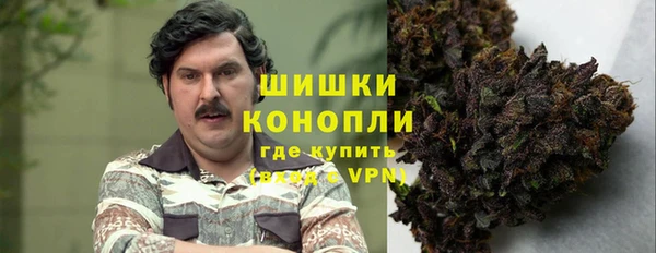 бошки Алексин