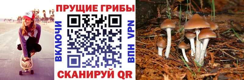 Галлюциногенные грибы GOLDEN TEACHER  Татарск 